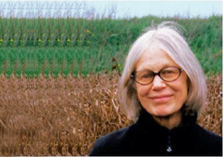 帕特里夏·約翰遜：項目本身并非設(shè)計者才華的紀(jì)念碑