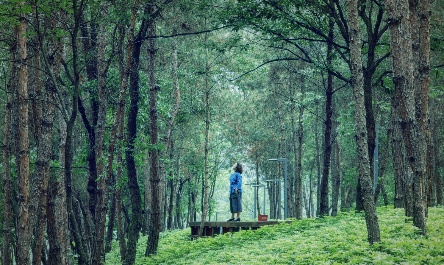 高靜（四川建筑設(shè)計(jì)研究院）：公園城市有機(jī)更新，需要高品質(zhì)場(chǎng)景營造