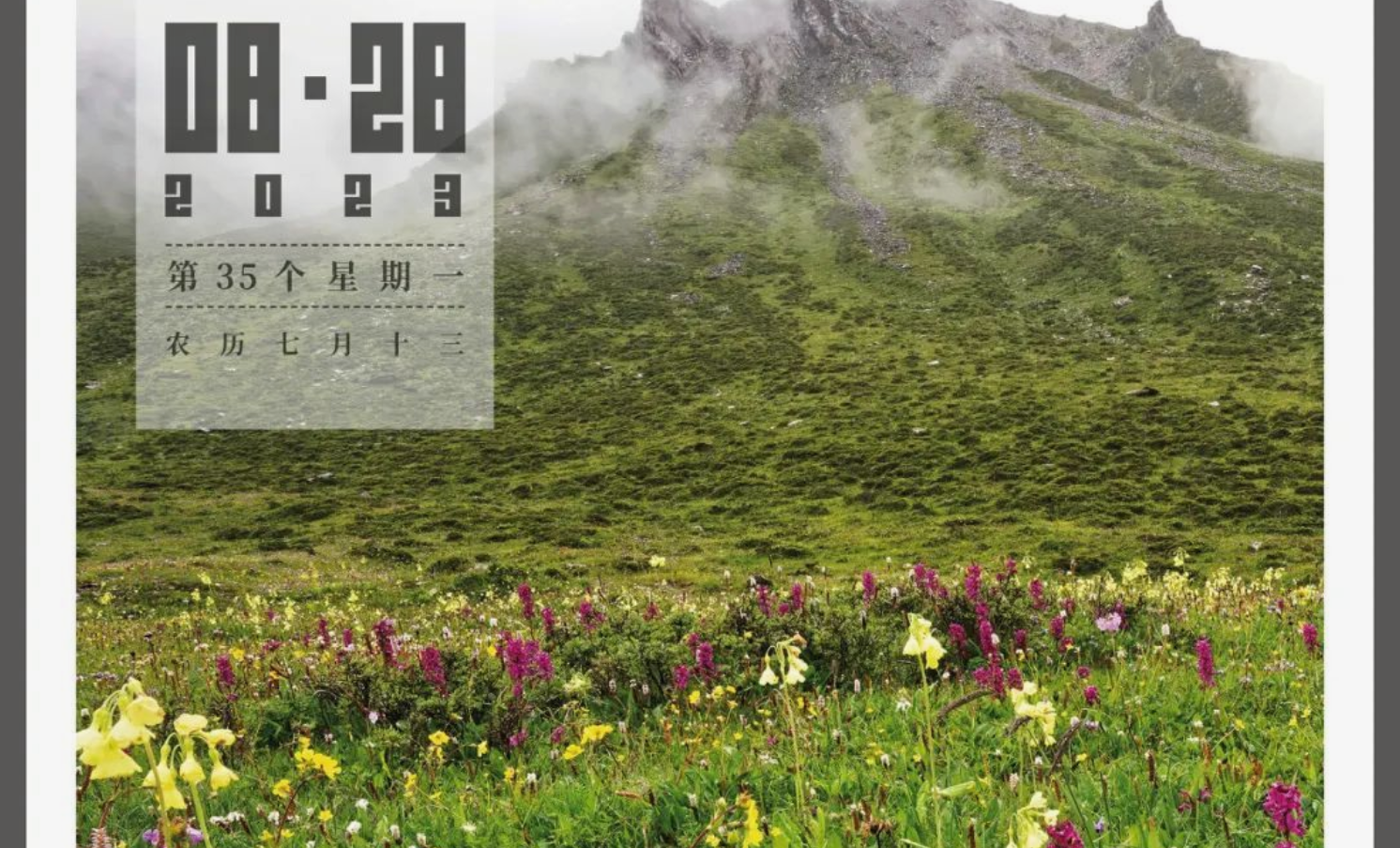 基于植被再野化的城市荒野生境重建——以野花草甸為例