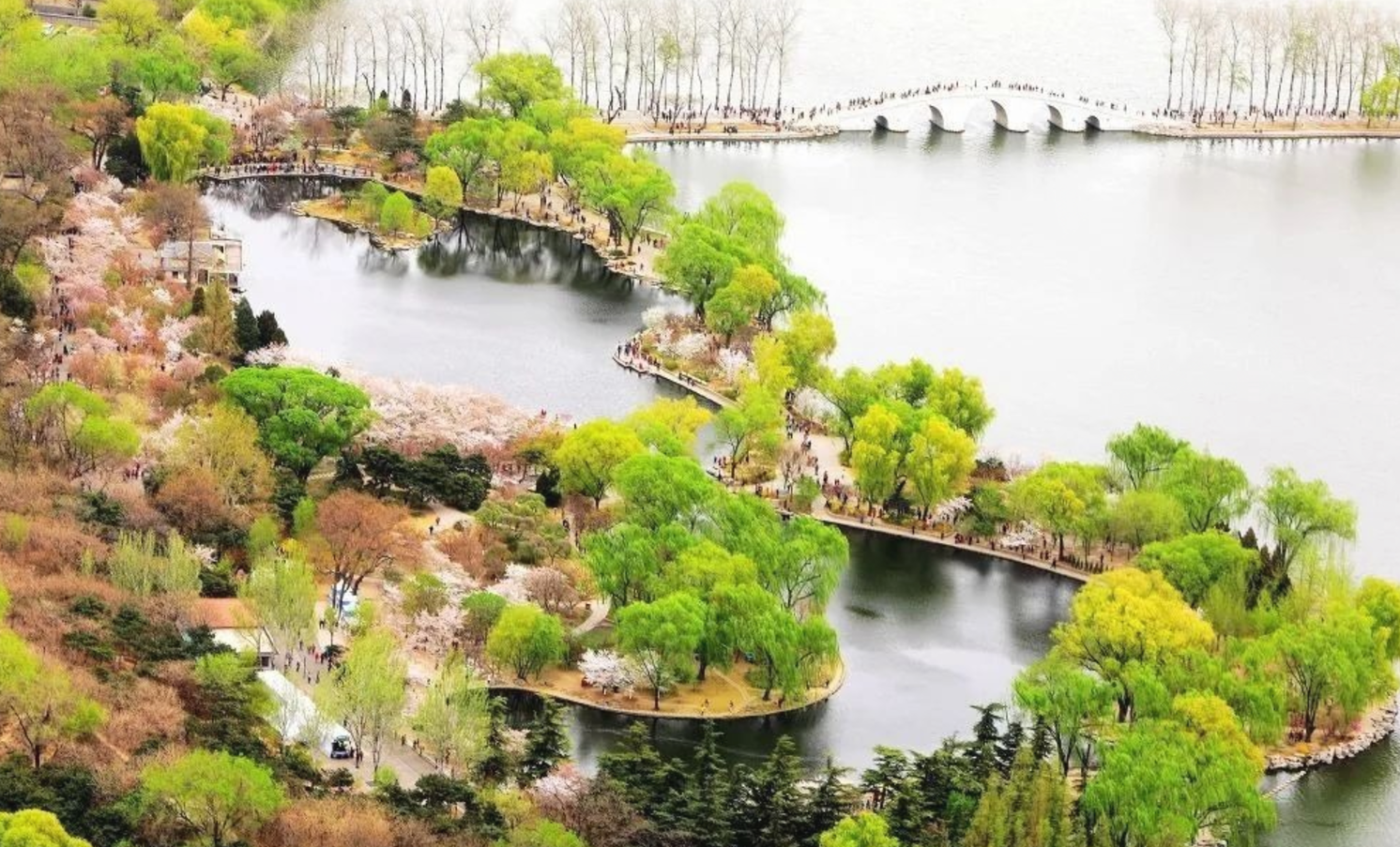 想知道公園游客關(guān)心什么，哪種分析方法更合適？