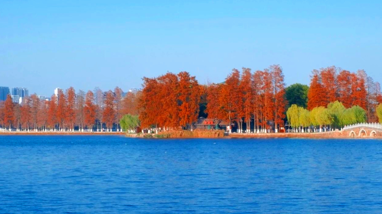 城市藍(lán)色空間如何影響心理健康？一文了解核心效應(yīng)