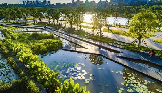 俞孔堅：以“四個容量”為核心，構(gòu)建美麗中國的水生態(tài)基礎設施
