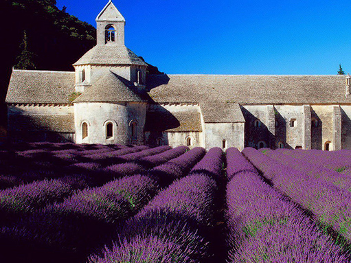 2012法國(guó)景觀設(shè)計(jì)考察