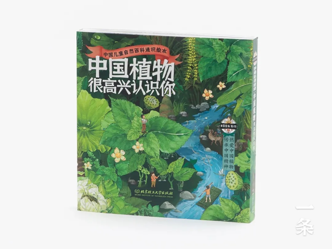 《中國植物，很高興認識你》：給中國孩子的植物小百科，400幅全彩手繪，每一頁都是藝術(shù)