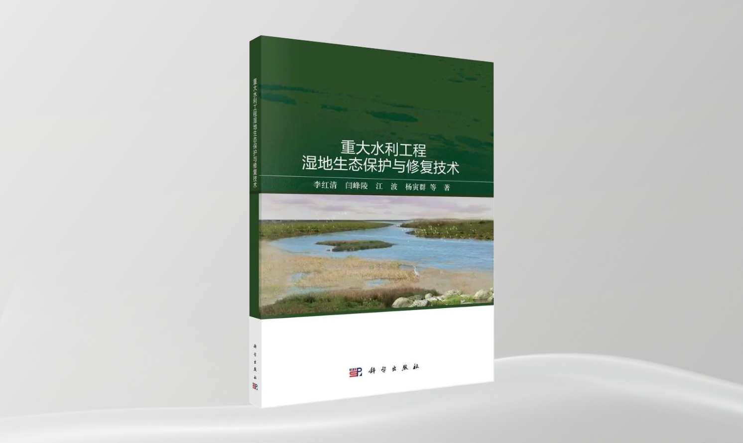《重大水利工程濕地生態(tài)保護(hù)與修復(fù)技術(shù)》