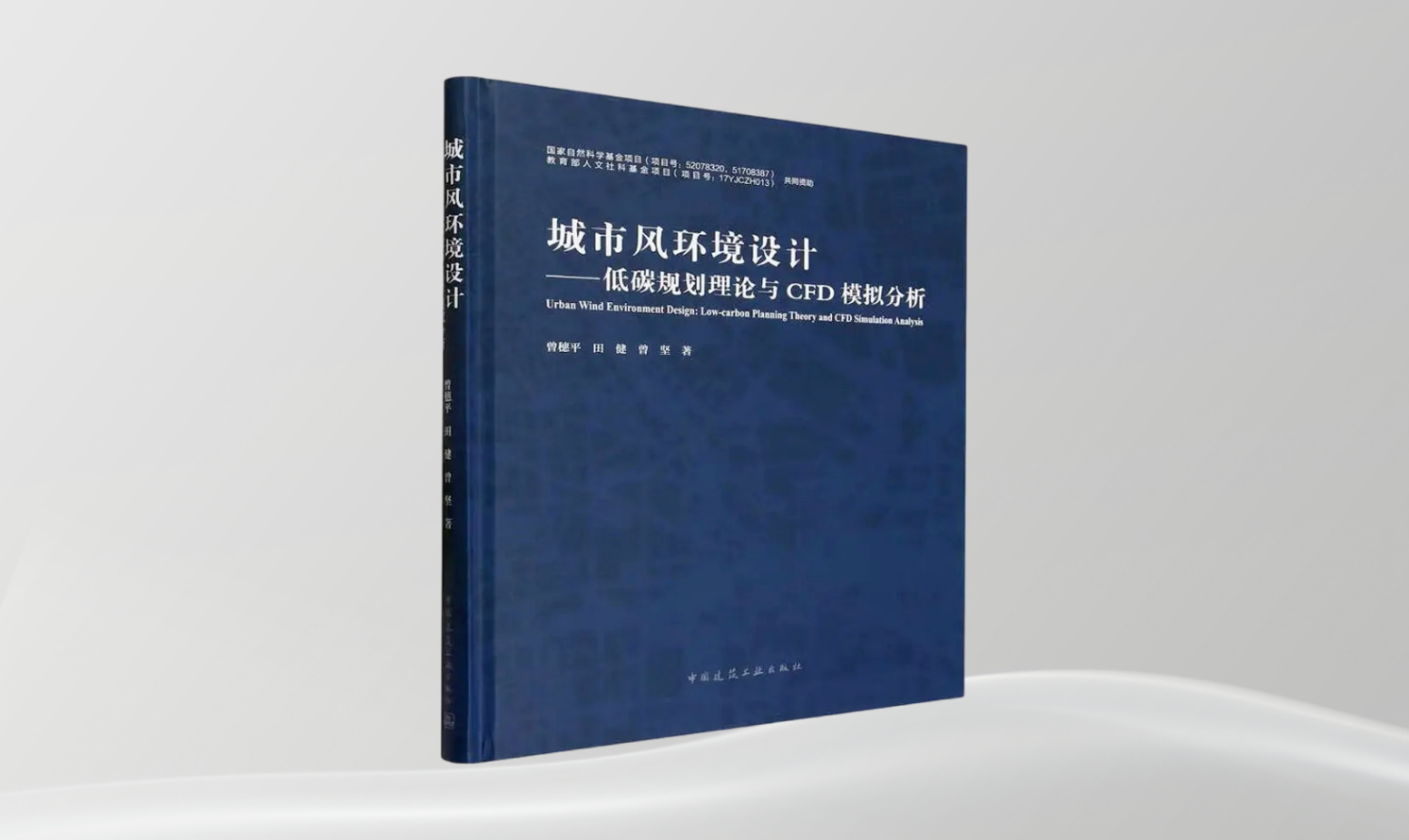 《城市風(fēng)環(huán)境設(shè)計(jì)——低碳規(guī)劃理論與CFD模擬分析》