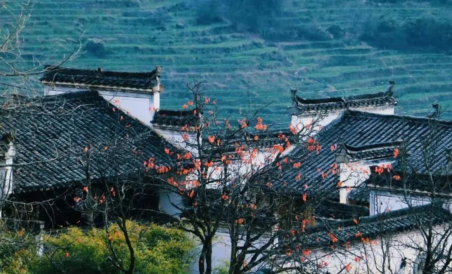 國(guó)慶特輯 | 行讀走進(jìn)徽州