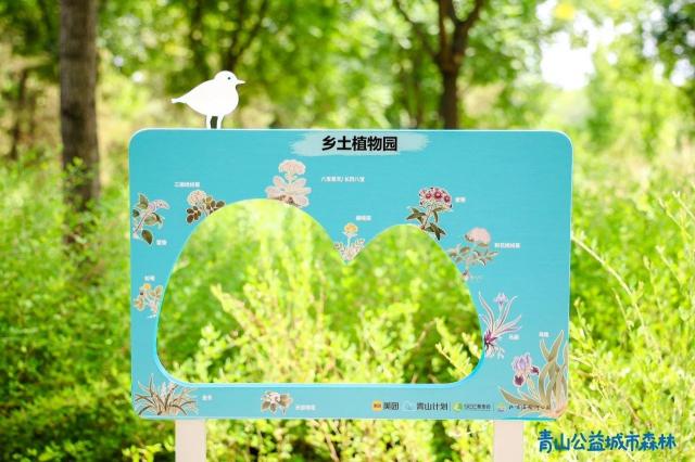 溫榆河公園項(xiàng)目——青山公益城市森林