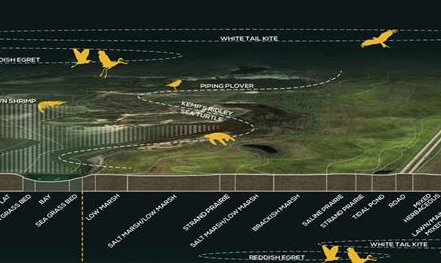 2017ASLA研究與規(guī)劃類杰出獎(jiǎng)——加爾維斯頓島州立公園堰洲島彈性規(guī)劃