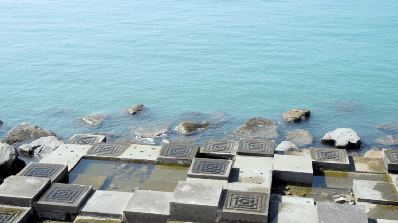 香港東涌東生態(tài)海岸線景觀設(shè)計(jì) | AECOM