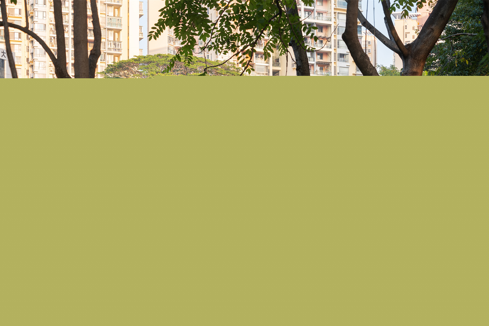 深圳市南山區(qū)文心公園景觀設(shè)計(jì) | 未名設(shè)計(jì)（WMLA） + 北京遠(yuǎn)洋（深圳分公司）