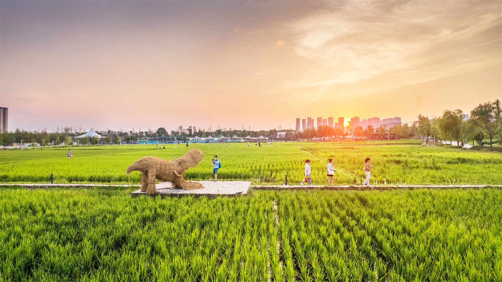 西安都市田園實(shí)踐——稻香園景觀設(shè)計(jì) | 赤地設(shè)計(jì)