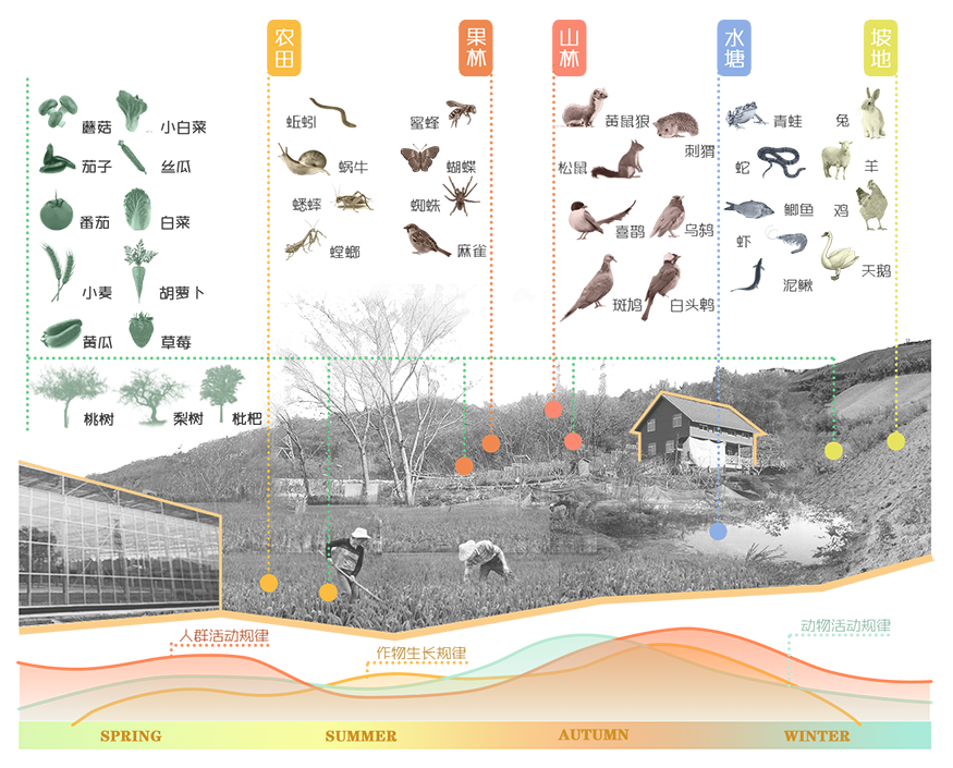 不止于學：全域課堂視野下金陵小學校園景觀更新設計從 | 馬欣雨、程敏、汪雨萌、崔靈楠、楊笑云、游嵐彬