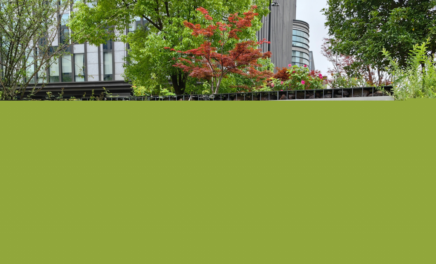 bio HILL 生命元山：存量更新背景下的親自然辦公環(huán)境營造 | AECOM