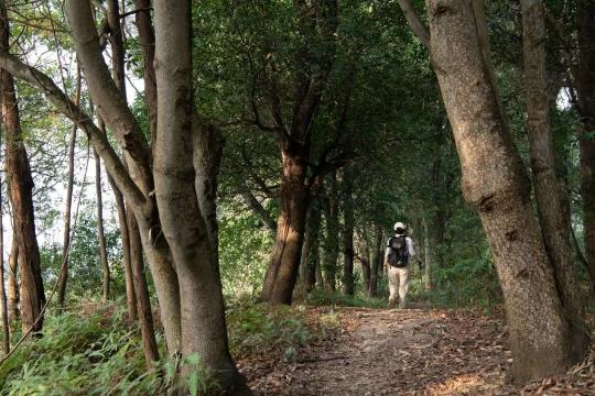 未名新作首發(fā) | 山野有乾坤 都市藏鯤鵬-深圳山海連城計(jì)劃 羅湖區(qū)東湖公園郊野徑-蓮塘口岸線