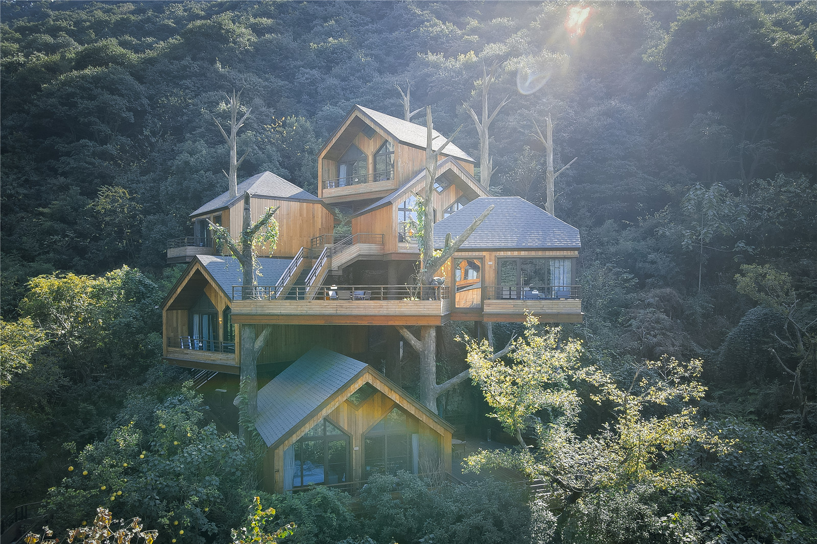 浙江杭州開元森泊度假酒店樹屋設(shè)計(jì) | 王暉建筑工作室