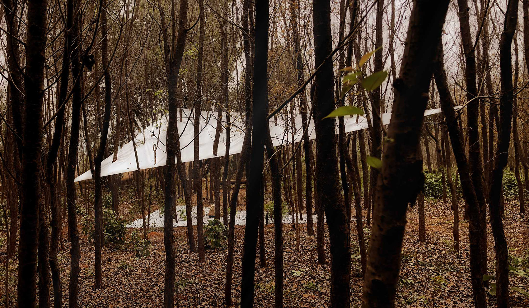 云南櫻庭裝置景觀設(shè)計(jì) | HAS design and research