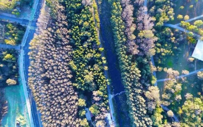 北京環(huán)境教育主題城市森林規(guī)劃景觀設(shè)計(jì) | 中國(guó)林業(yè)科學(xué)研究院