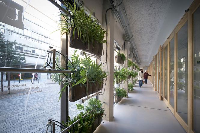 法國南特大學(xué)研究中心辦公空間綠色立面系統(tǒng)設(shè)計 | titan