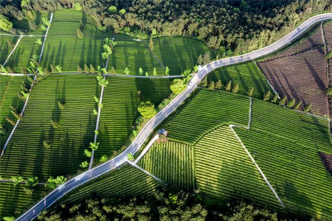 重慶巴南區(qū)定心茶園建筑及景觀設(shè)計(jì) | 重慶浩豐規(guī)劃設(shè)計(jì)集團(tuán)