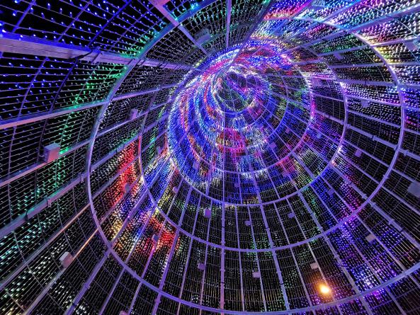 美國(guó)丹佛“英里高樹(shù)”動(dòng)態(tài)燈光裝置設(shè)計(jì) | Brut Deluxe