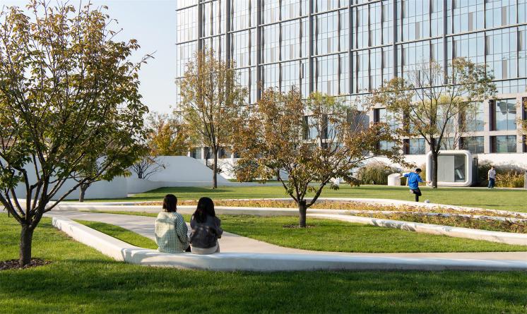 生長中的海淀光合公園景觀設(shè)計(jì) | 本色營造