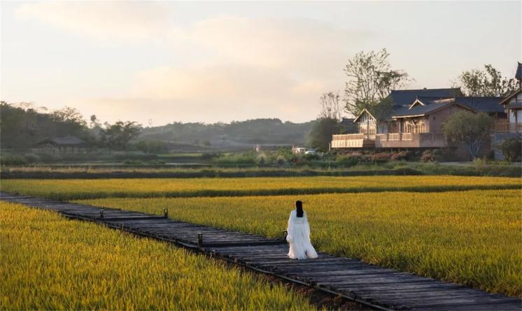 四川成都官塘小村景觀設(shè)計(jì) | 景虎景觀