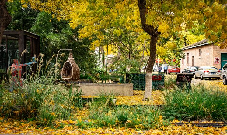  阿普貝思雨水花園景觀設(shè)計 | 阿普貝思景觀設(shè)計
