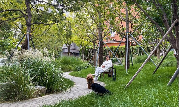 中國建筑設(shè)計研究院創(chuàng)新科研示范中心景觀設(shè)計 | 中國建筑設(shè)計研究院有限公司