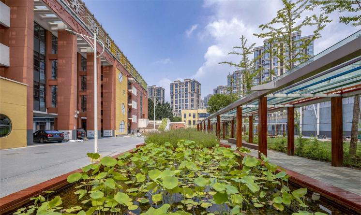 北京城市副中心芙蓉小學(xué)海綿校園更新景觀設(shè)計 | WADI（瓦地）設(shè)計