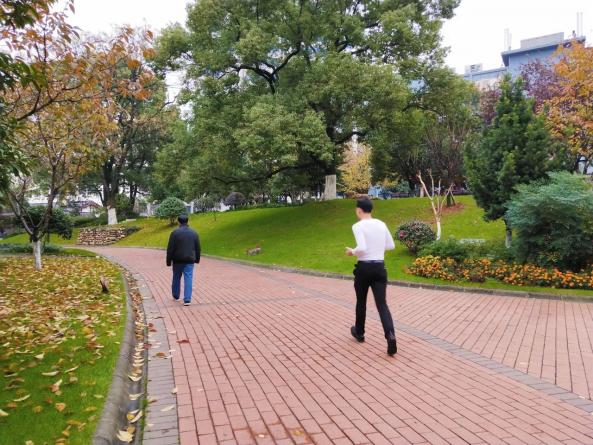 長株潭城市群居民步行鍛煉去哪兒？