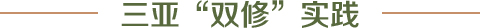 三亞“雙修”實(shí)踐