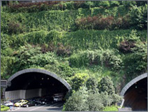 植被重建計(jì)劃