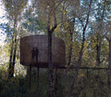 עƷČwʹc^M(jn)H܌ԒIڤg