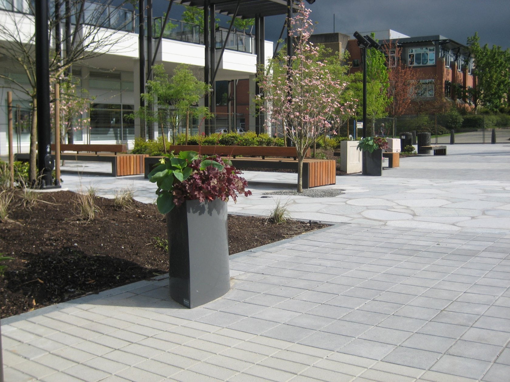 1521600748211612.jpg 20180228_111530_007.jpg