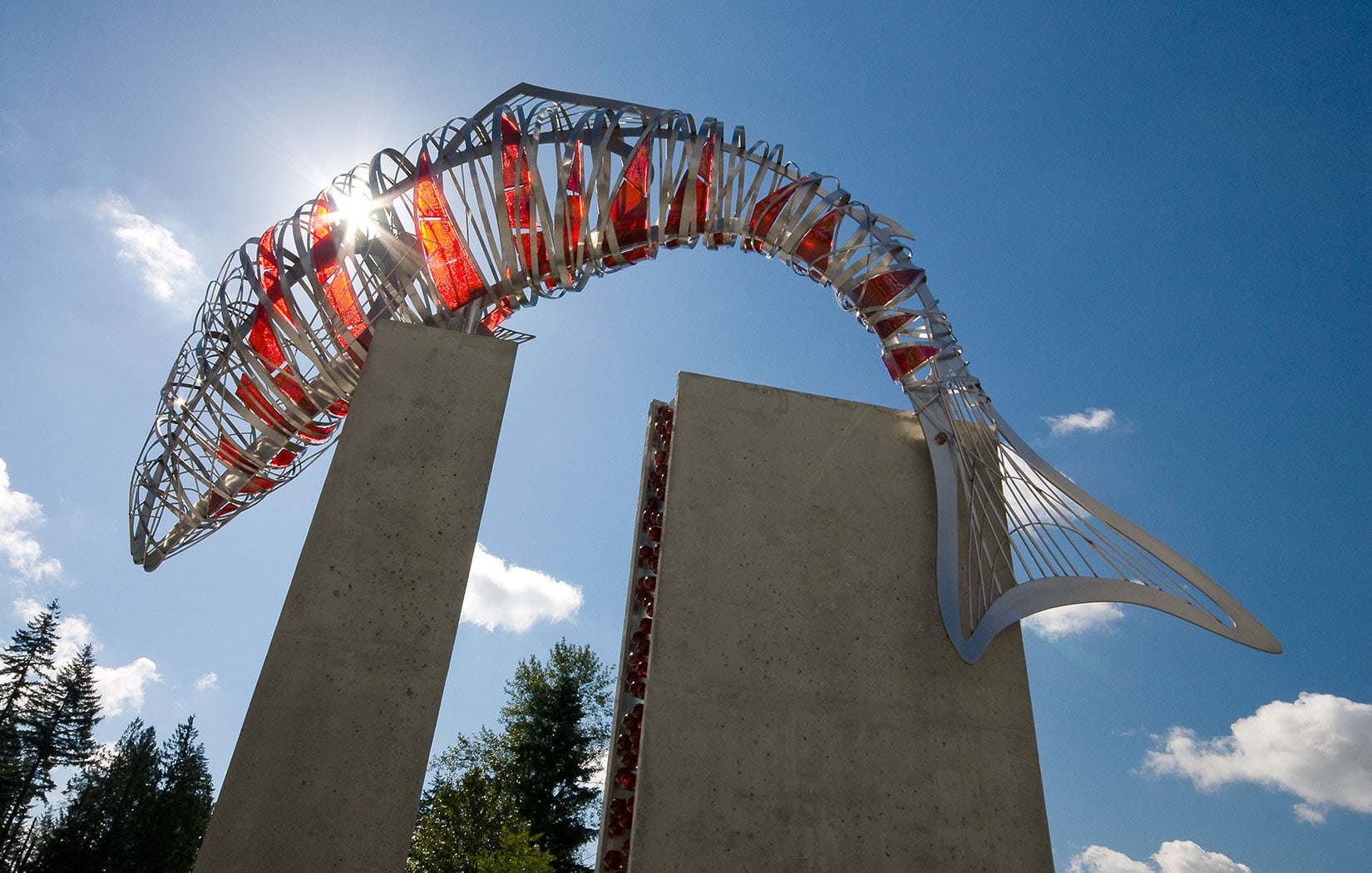 1521601776370624.jpg 20180228_111530_010.jpg