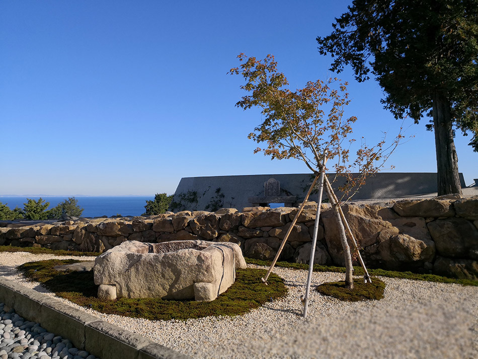 1521700863786027.jpg 20180307_113158_104.jpg