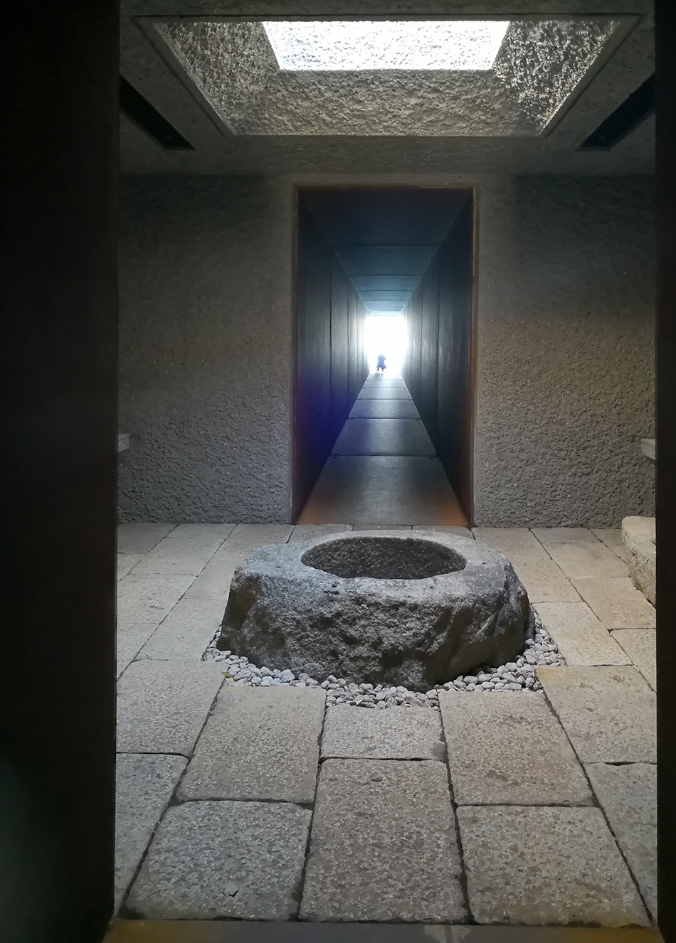 1521700925439856.jpg 20180307_113158_112.jpg