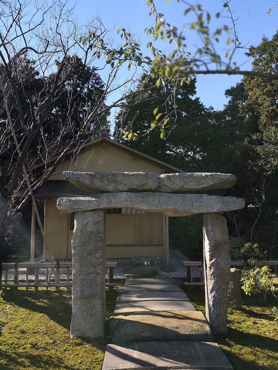 1521701067328145.jpg 20180307_113158_117.jpg