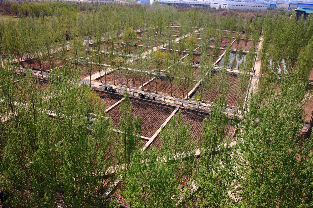 1521798809945501.jpg 02-sw123O7481_Adjust.jpg