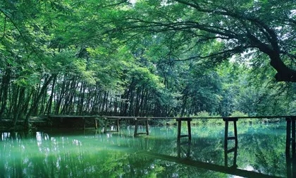 1522141798154407.jpg 360se_picture.webp (11).jpg