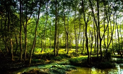 1522141808289689.jpg 360se_picture.webp (12).jpg