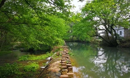 1522141814377120.jpg 360se_picture.webp (13).jpg