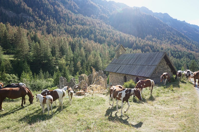 1529042025582481.jpg 4.jpg