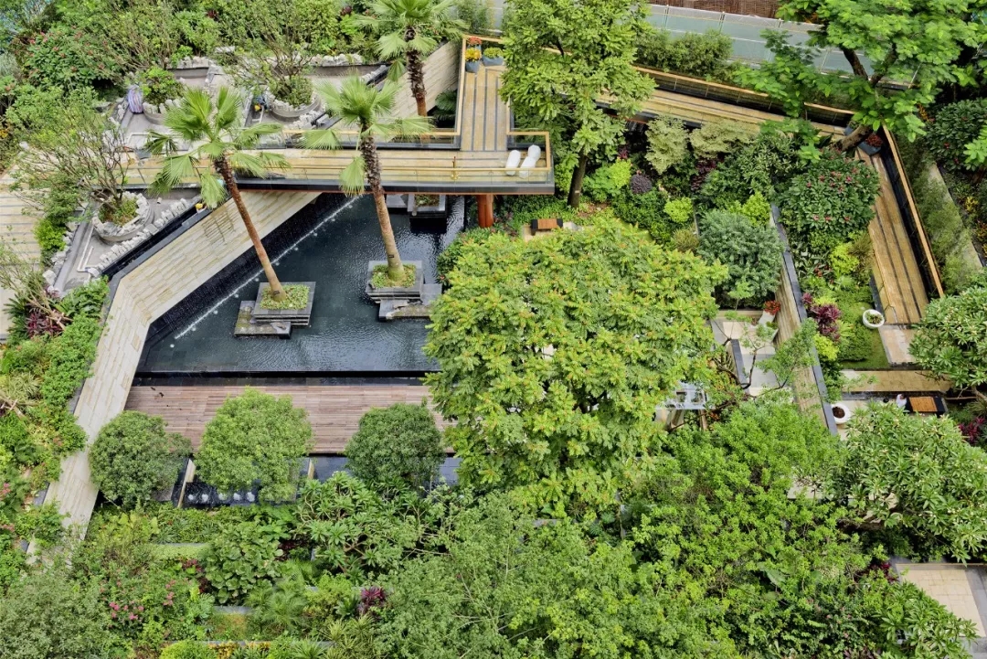 1530168231884140.jpg 640.webp (13).jpg