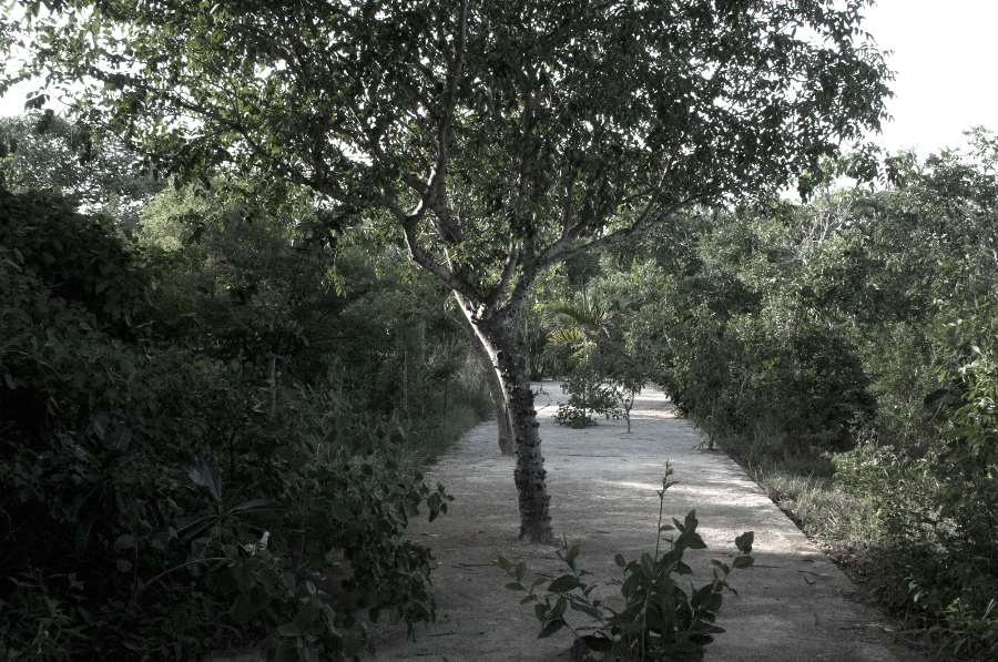 導(dǎo)出圖片F(xiàn)ri Jun 29 2018 16_55_33 GMT+0800 (中國(guó)標(biāo)準(zhǔn)時(shí)間).png