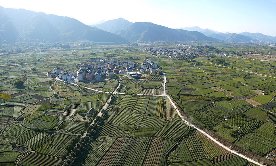 1530587128587429.jpg 20180703_105951_002.jpg