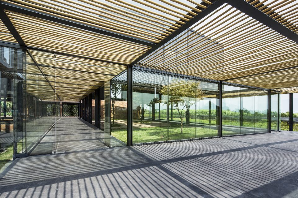 1530587706923082.jpg 20180703_105951_020.jpg