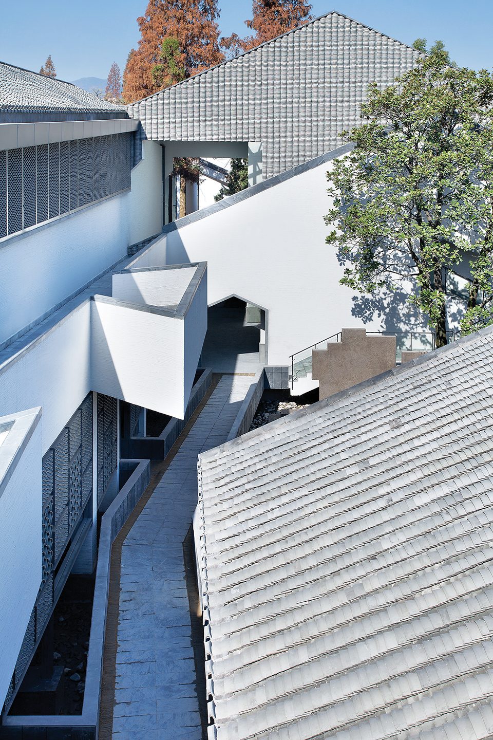 1530773281226809.jpg 20180705_142640_036.jpg