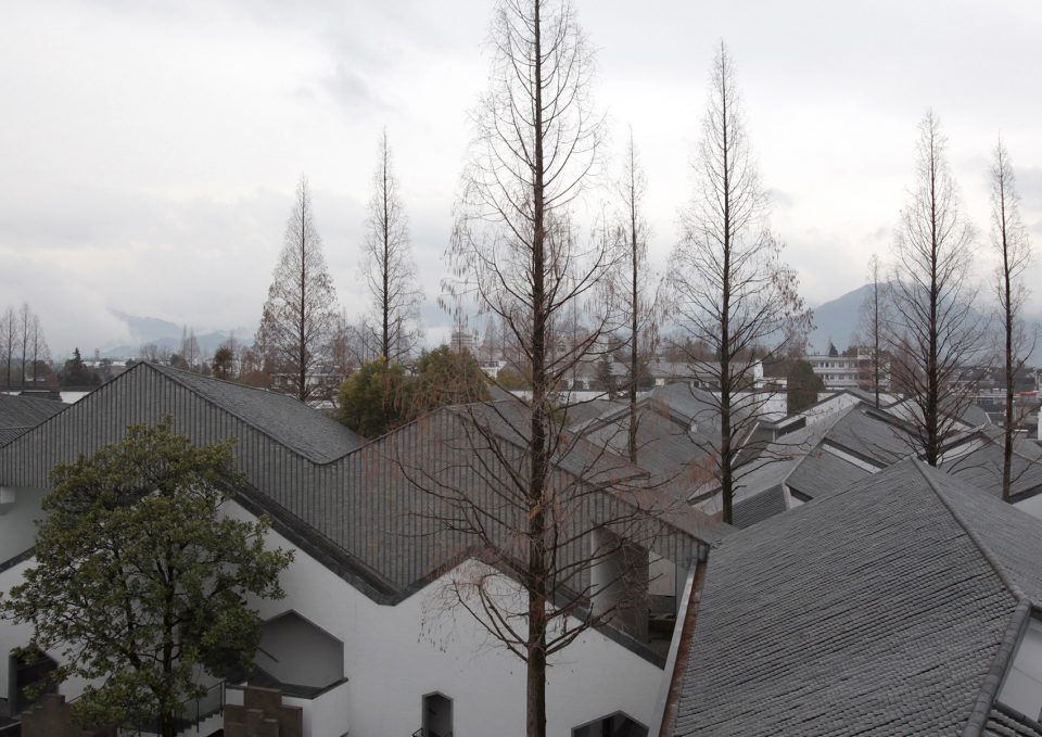 1530773380986997.jpg 20180705_142640_042.jpg